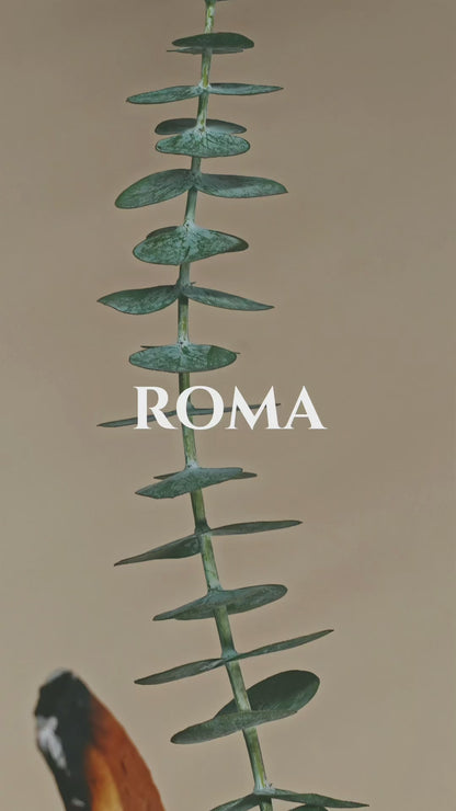 EMMIR ROMA